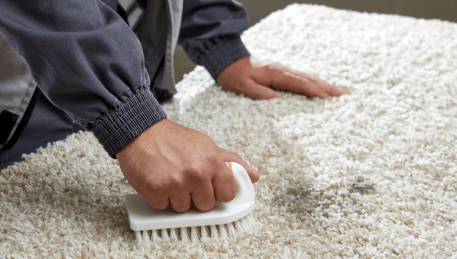 Professional Rug Cleaning Caulfield