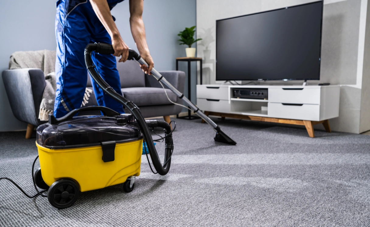 Extract Rug Cleaning Caulfield Contact Office